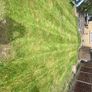 grass cutting Image 10