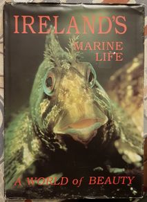 Ireland's Marine Wildlife: A World Of Beauty, Ed. Matt & Susan Murphy