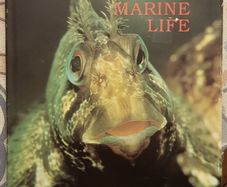 Ireland's Marine Wildlife: A World Of Beauty, Ed. Matt & Susan Murphy