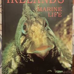 Ireland's Marine Wildlife: A World Of Beauty, Ed. Matt & Susan Murphy