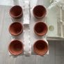 Antique Gardners Transportable Mini Seedling Display Image 2