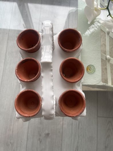 Antique Gardners Transportable Mini Seedling Display