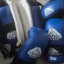 Sparring gear Image 2