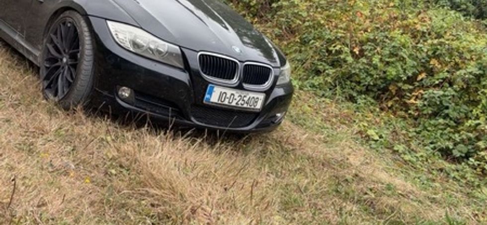 2010 Bmw 318