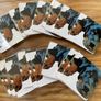 20 coasters Image 2