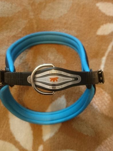 Smart dog harnesses