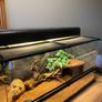 Exo Terra Reptile Tank Image 2