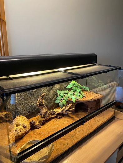 Exo Terra Reptile Tank