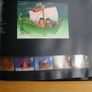 Royal Mail Special Stamps Collection - 1998 Image 3