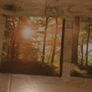 3 piece canvas wall art Image 3