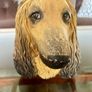 Vintage 20th Century Afghan Hound Chalkware Bust Legend Products Image 7