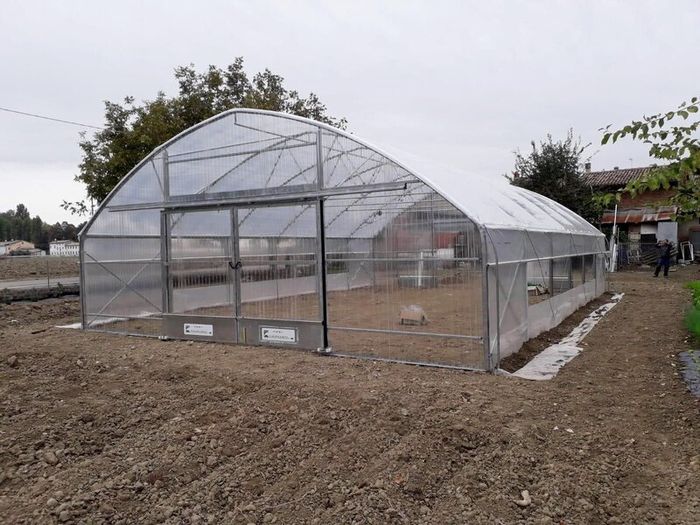 Polytunnels Kenmare