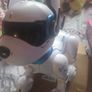 Ziggy the Robo dog Image 4