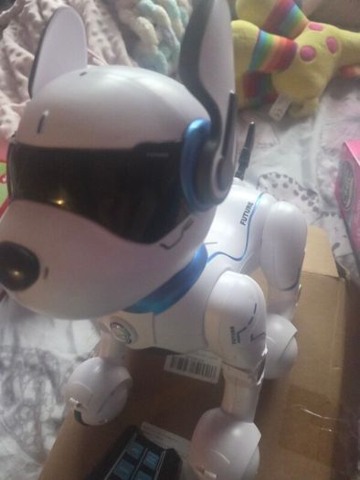 Ziggy the Robo dog