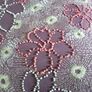 3 embroidered cotton cushion covers, brown Image 2