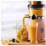 Juice Extractor for Nutrient Fruit & Vegetable Juicer Machine Image 2