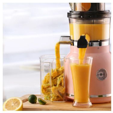 Juice Extractor for Nutrient Fruit & Vegetable Juicer Machine