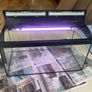 Fish Tank with cover and light Image 2