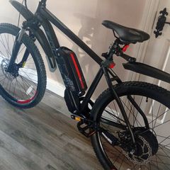 Electric bike
