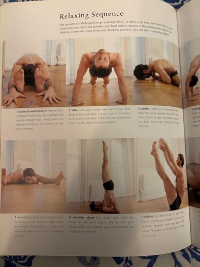 Yoga and Pilates for Everyone Book