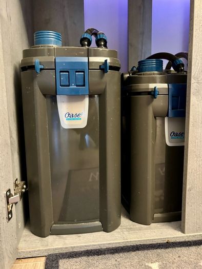 PRICE DROP Aqua spec 280litre with Aqua spec Grey tall stand 2 filters and lights cichlid tank