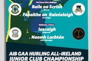 2024 All-Ireland Junior Hurling Club Championship Semi Finals