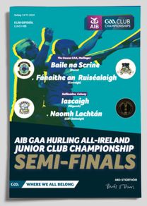 2024 All-Ireland Junior Hurling Club Championship Semi Finals