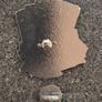 Skull and ace's ,  pin back badge. Image 2