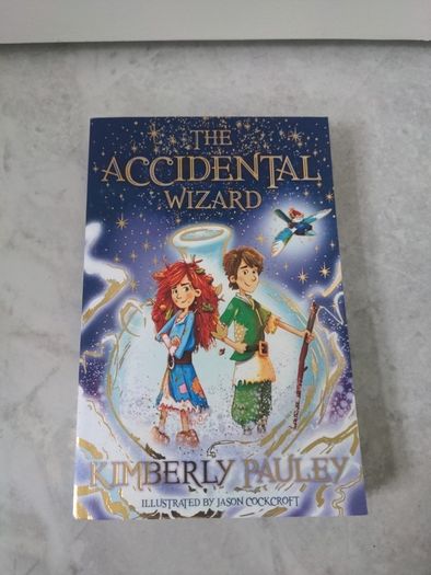 The Accidental Wizard