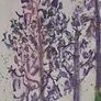 Framed Floral Watercolour Image 8