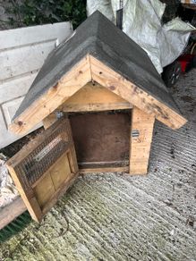 Dog house