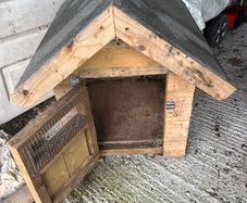 Dog house