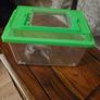 hamster acc Image 5
