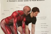 Anatomy Of Exercise