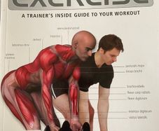 Anatomy Of Exercise