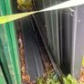Garden Shed Image 5