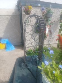 wine rack