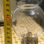 Antique French Pigeon Lamp Image 4