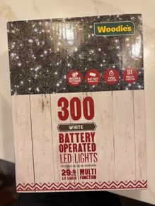 300 white Christmas lights