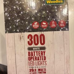 300 white Christmas lights