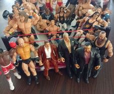 Wrestling Figures And Ring
