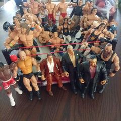 Wrestling Figures And Ring