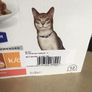 Hills kidney care cat food, 18 pouches Image 2