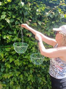 hanging baskets