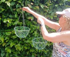 hanging baskets
