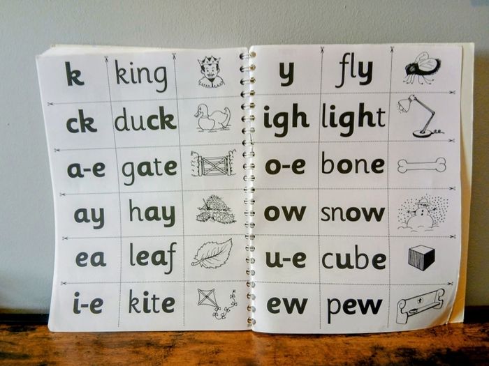 Jolly Phonics: The Phonics Handbook - Sue Lloyd