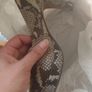 high heels shoe Image 4
