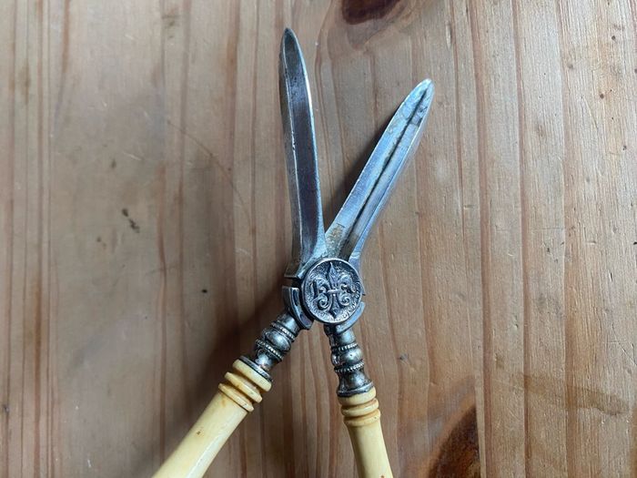 Vintage Silver Plated Grape Scissors Bone Handle