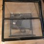 Terrarium Image 2