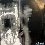 40 x 12" electronic vinyl Image 5